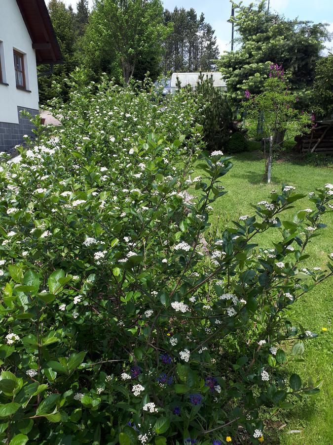 Ferienwohnung Aronia Garten 오베르비젠탈 외부 사진